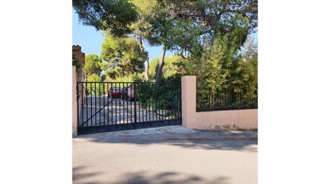 Foto 3 de Casa o chalet en venta en Partida Pla de Pavia, Albalat dels Tarongers, Valencia