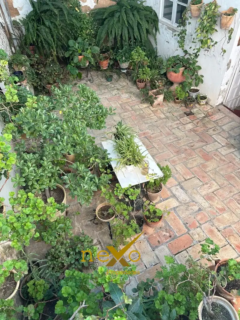 Jardín de Casa o chalet en venta en Carmona