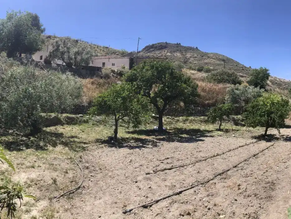 Pis en venda en Oria amb Aire condicionat i Balcó