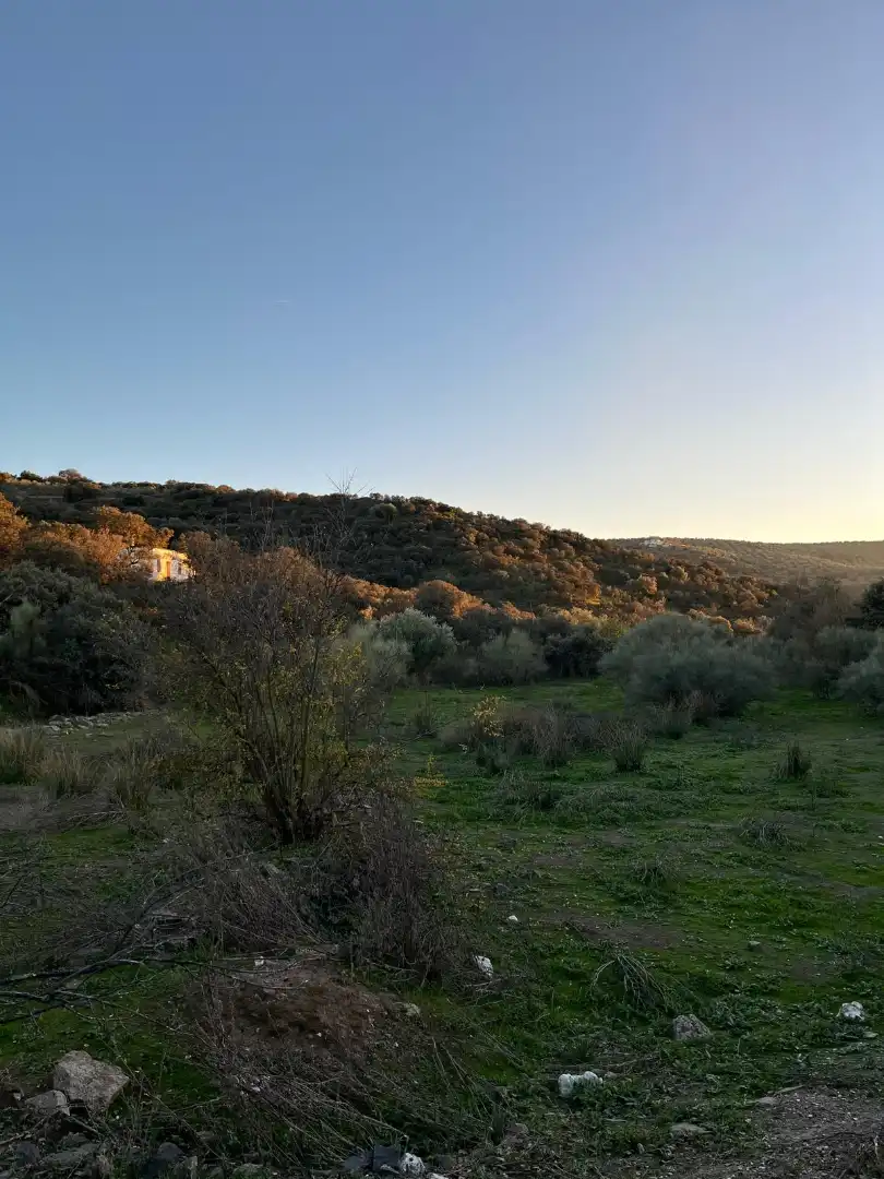 Terreno en venta en Vilches