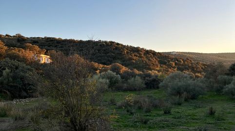Photo 3 of Land for sale in Vilches, Jaén