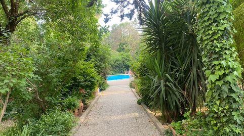 Foto 4 de Casa o chalet en venta en Camino de el Vergel., Torreperogil, Jaén