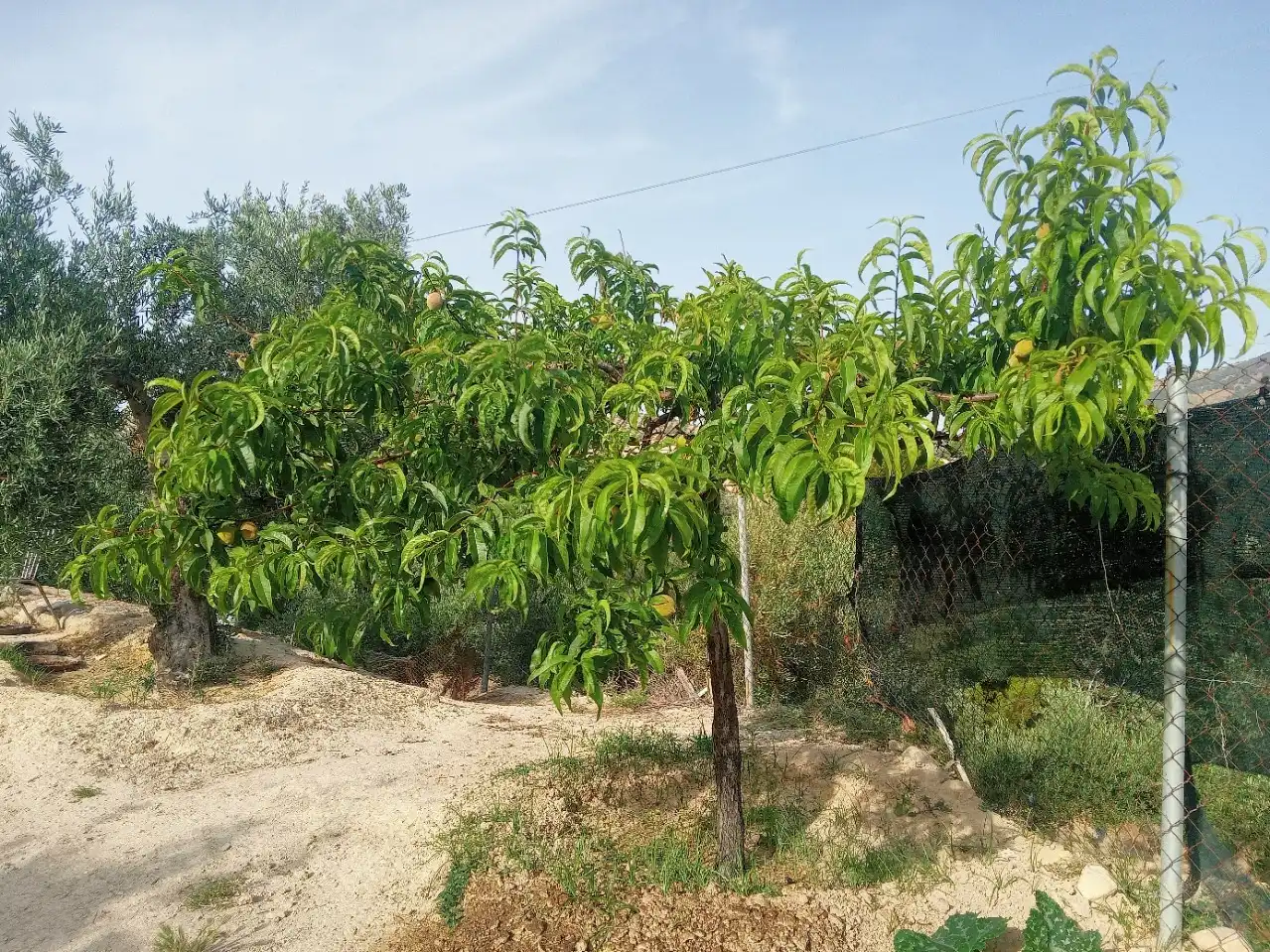 Detached house with pool for sale in Carretera Puente de la Sierra, imagen 15