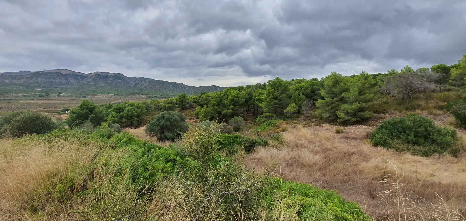 Rustikales Grundstück zum Verkauf in El Pinell de Brai, imagen 10