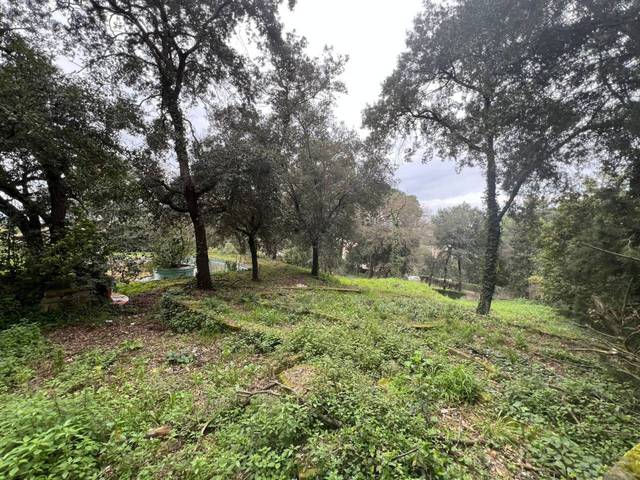 Terreno residencial en Venta en Avenida Martí en Montornès del Vallès