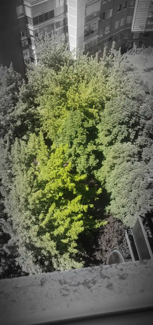 Jardí de Pis en venda en Madrid amb Aire condicionat, Calefacció i Jardí privat