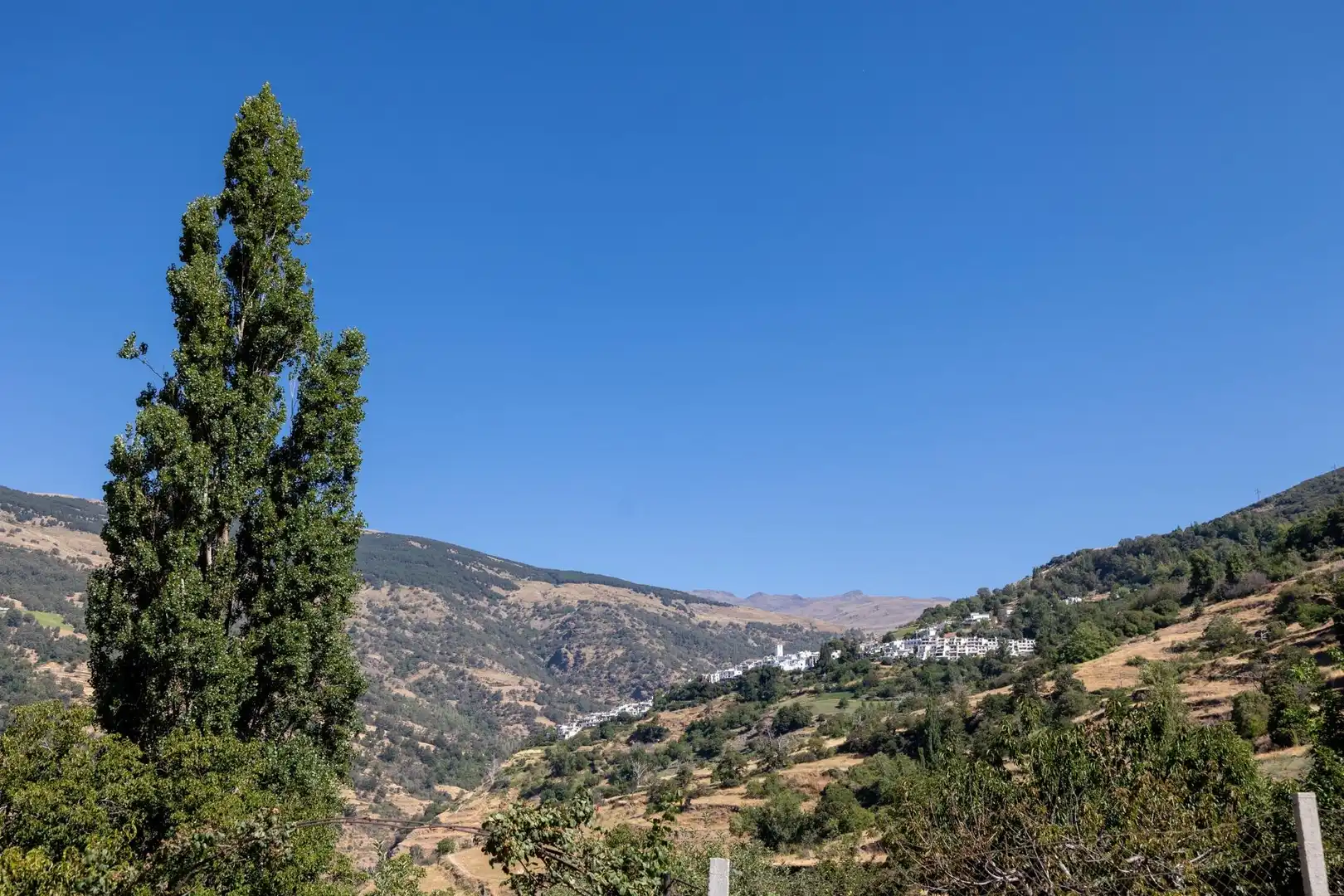 Rural land for sale in Polígono 3 Parcela 19 JARILA. BUBION (GRANADA), imagen 3