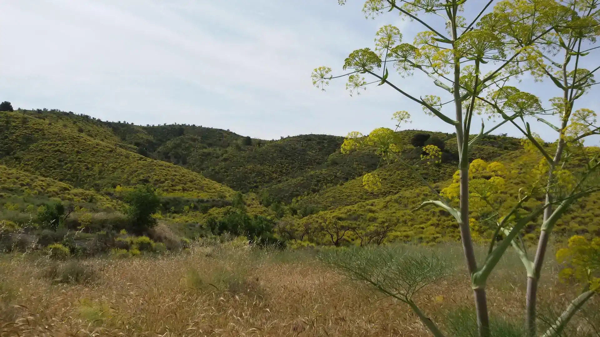 Residencial en venta en Lorca