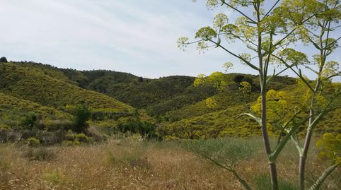 Foto 4 de Residencial en venta en Carrasquilla, Lorca
