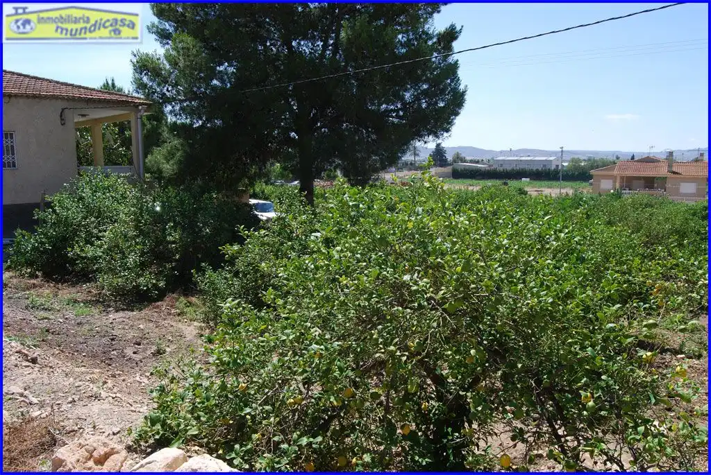 Casa o xalet en venda en Orihuela amb Jardí privat, Terrassa i Piscina