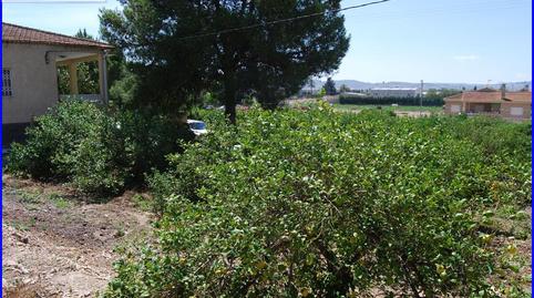 Foto 4 de Casa o chalet en venta en Montepinar - La Aparecida - Raiguero, Alicante