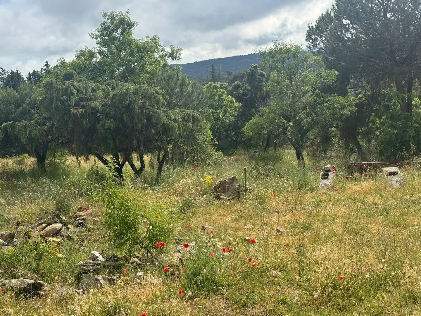 Residential for sale in Fresnedillas de la Oliva