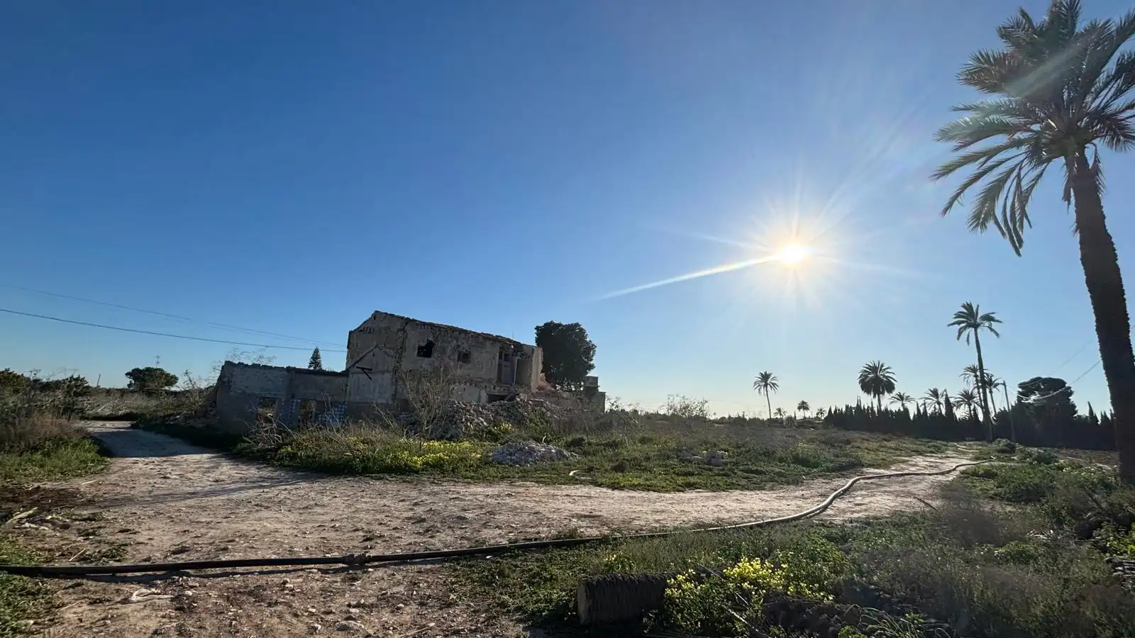 Grundstücke zum Verkauf in Elche / Elx