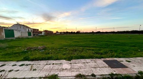 Terreno en venta en Calle Proyecto XI, Baeza, immagine 5