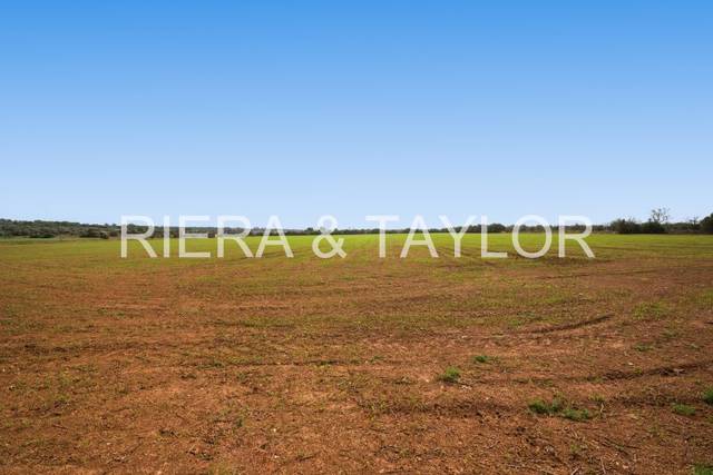Terreno en Venta en Campos poble