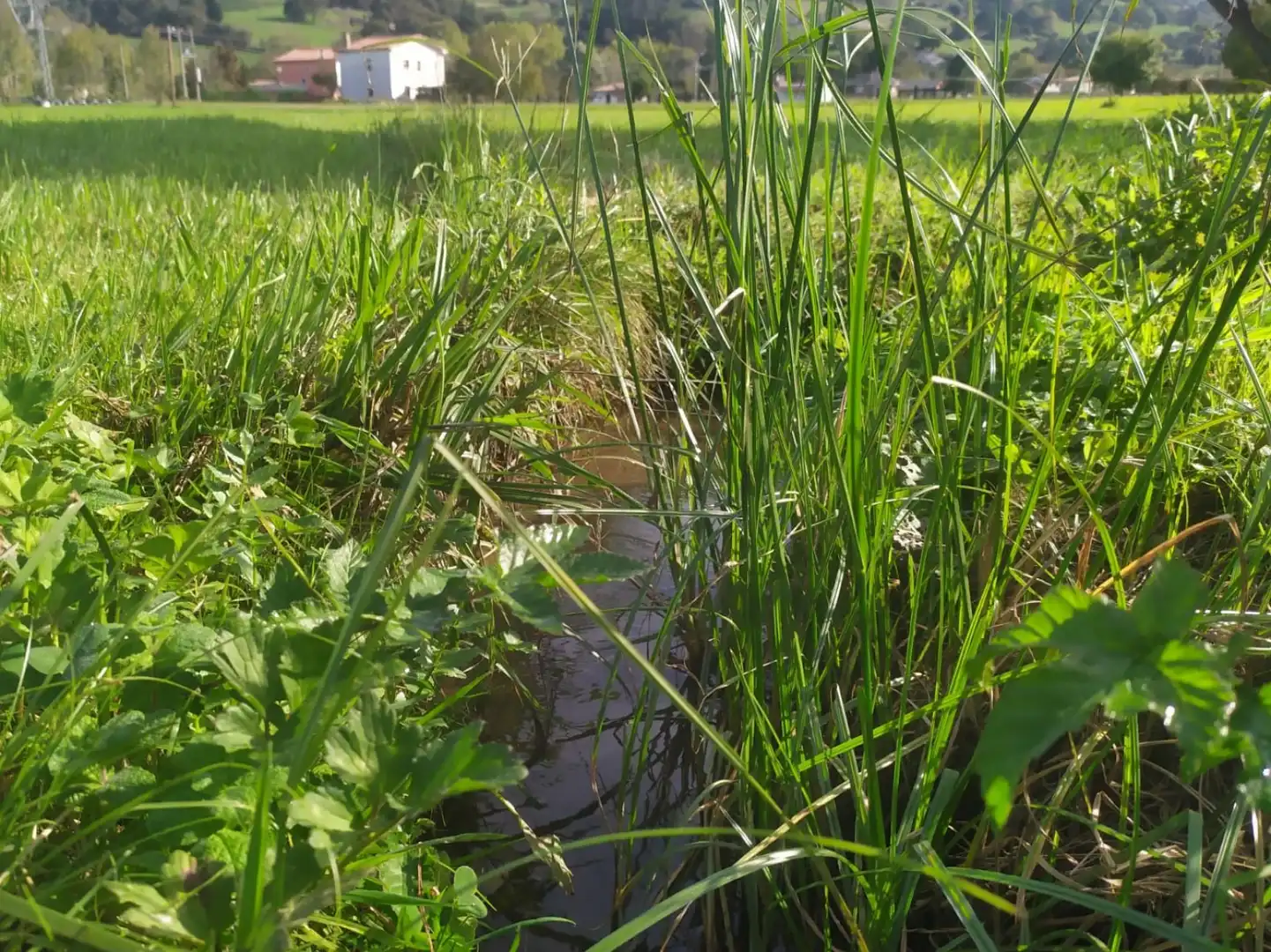 Rustikales Grundstück zum Verkauf in Santa María de Cayón, imagen 4