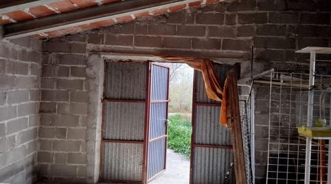 Finca rústica en Xerta con acceso directo al río Ebro, image 5
