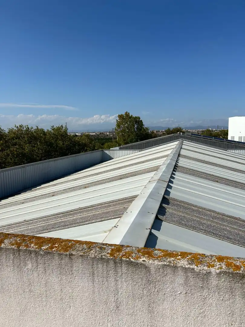 Nau industrial en venda a CAMI DE FAITANAR, 2, Picanya