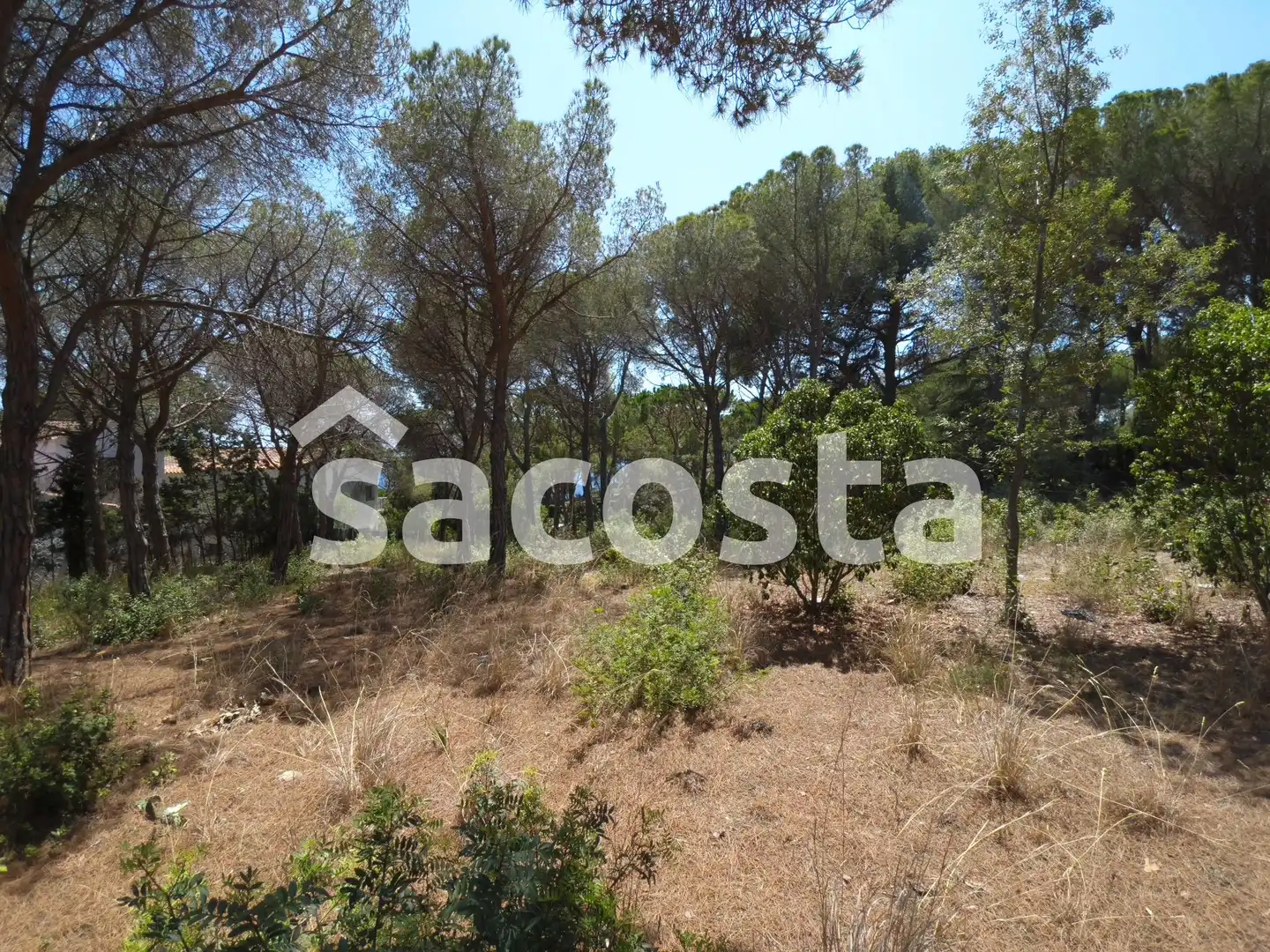 Residencial en venta en Montgoda