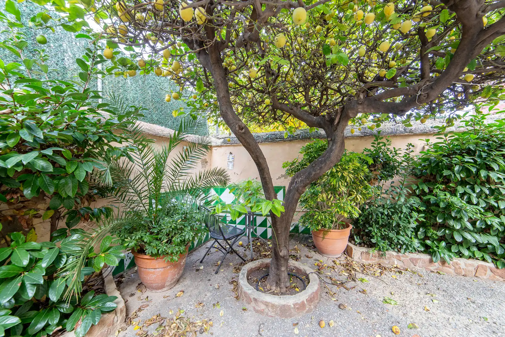 Terrassa de Casa adosada en venda en Godella amb Aire condicionat, Calefacció i Jardí privat