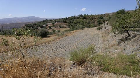 Foto 4 de Terreno en venta en Barrio Alto, 64, Válor, Granada