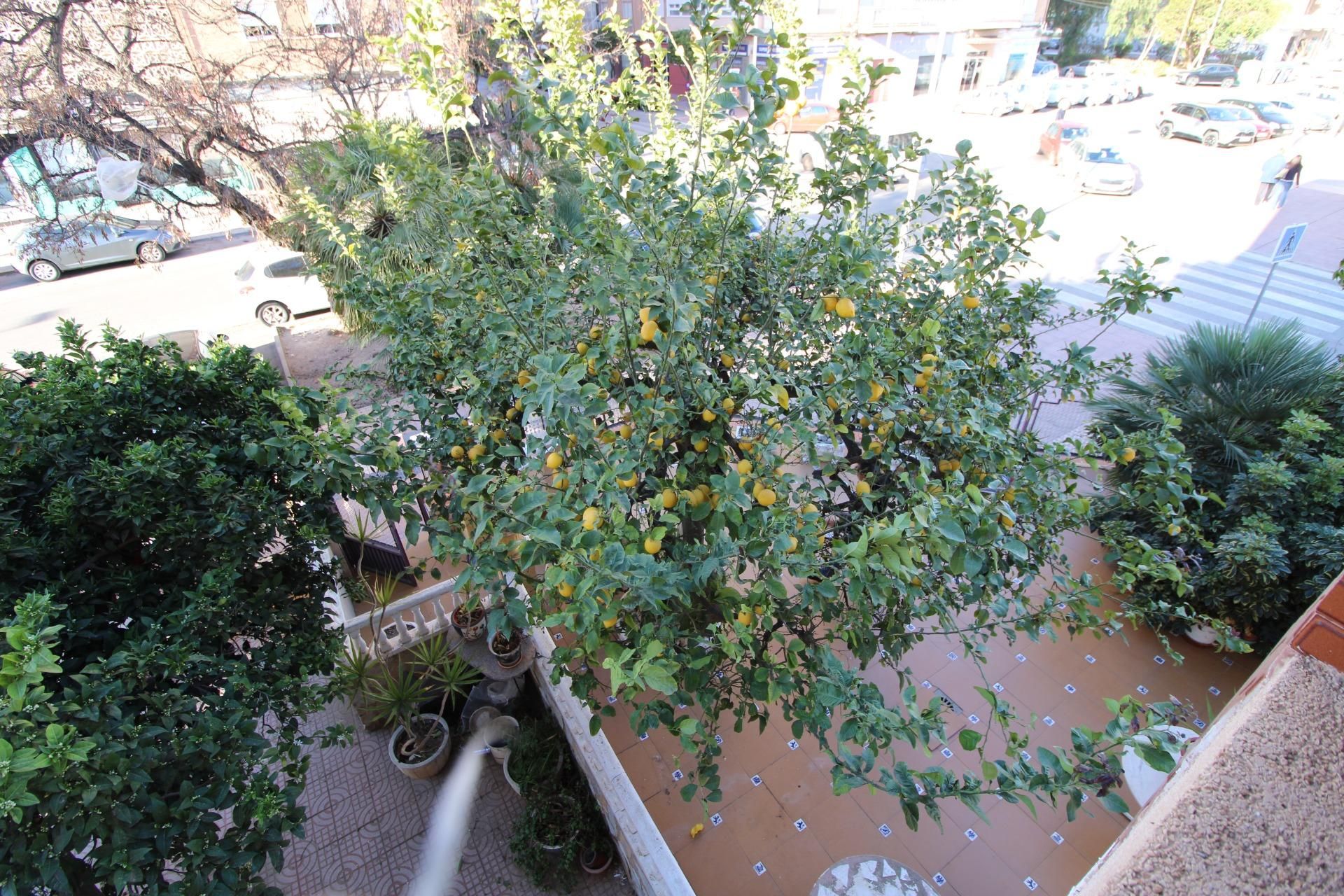 Garden of Flat for sale in Cartagena  with Private garden and Terrace