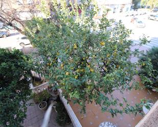 Garden of Flat for sale in Cartagena  with Private garden and Terrace