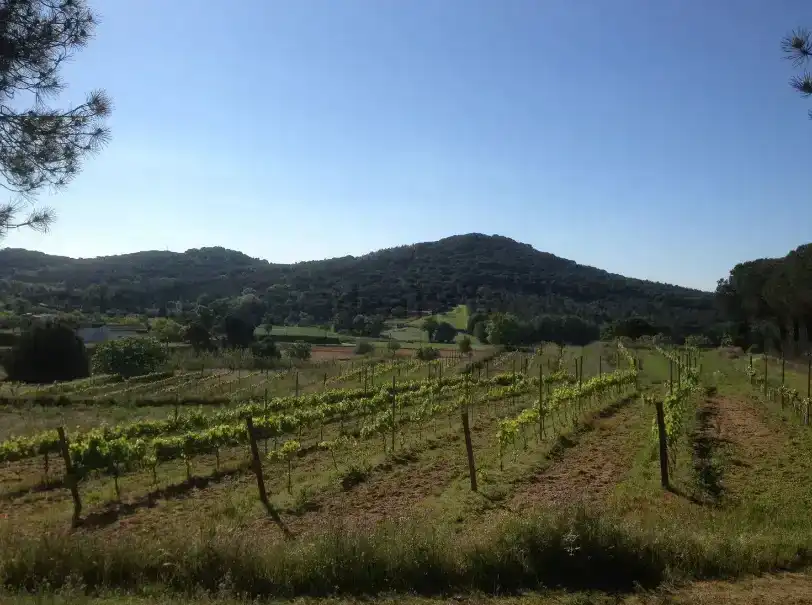 Finca rústica en venta en Tordera