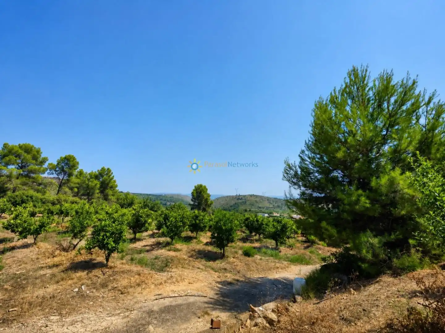 Finca rústica en venda en Sellent amb Terrassa, Traster i Piscina