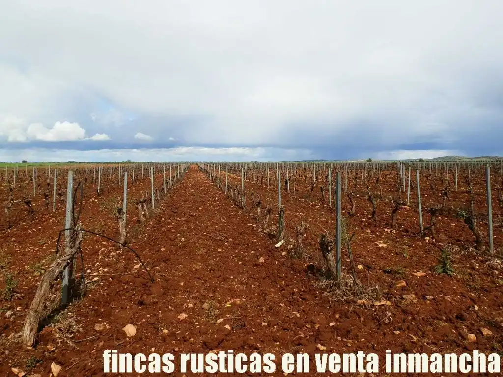 Terreno rustico in vendita a Pozuelo de Calatrava, imagen 13