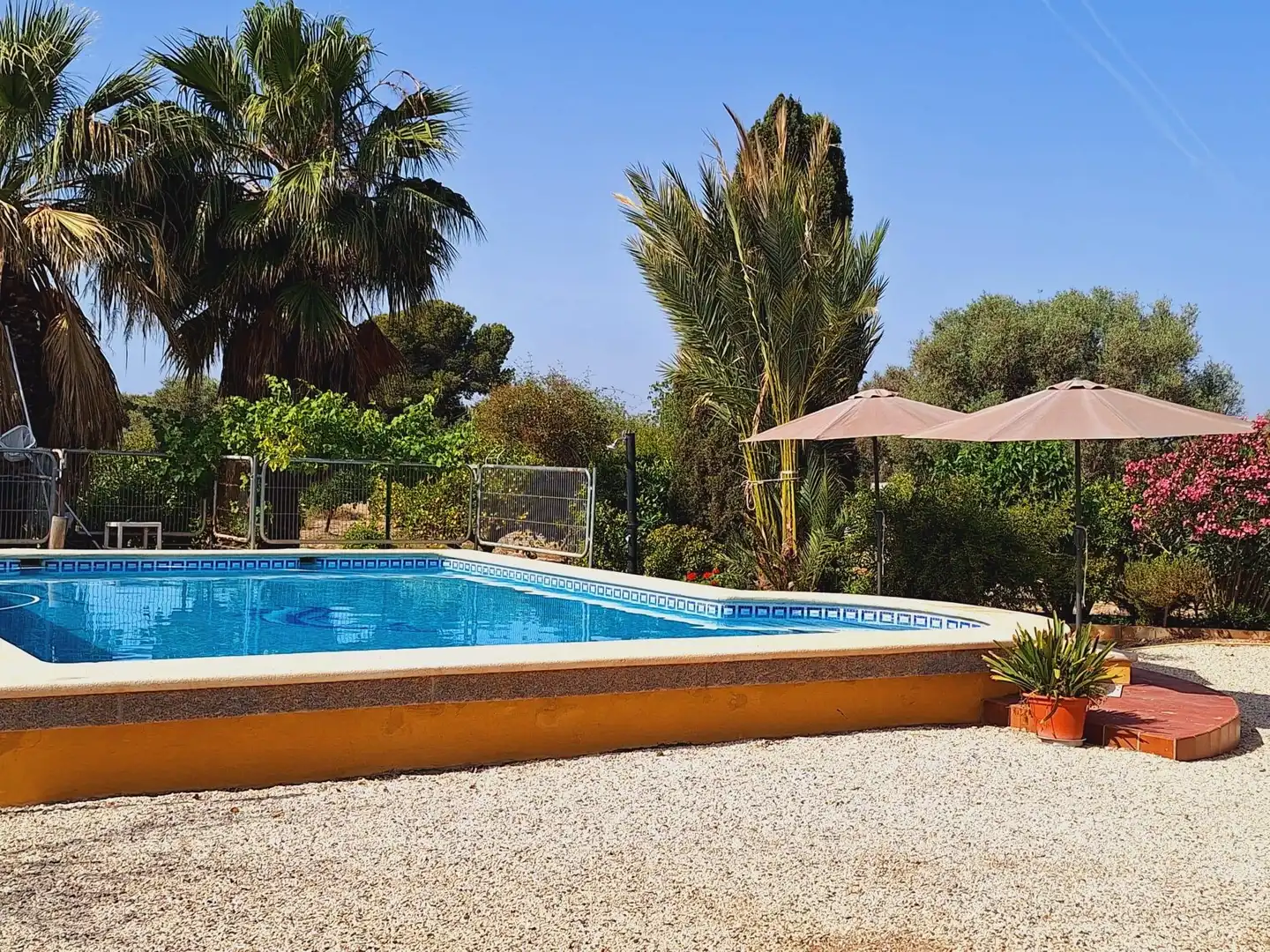 Piscina de Casa o xalet en venda en Alicante / Alacant amb Jardí privat, Terrassa i Traster