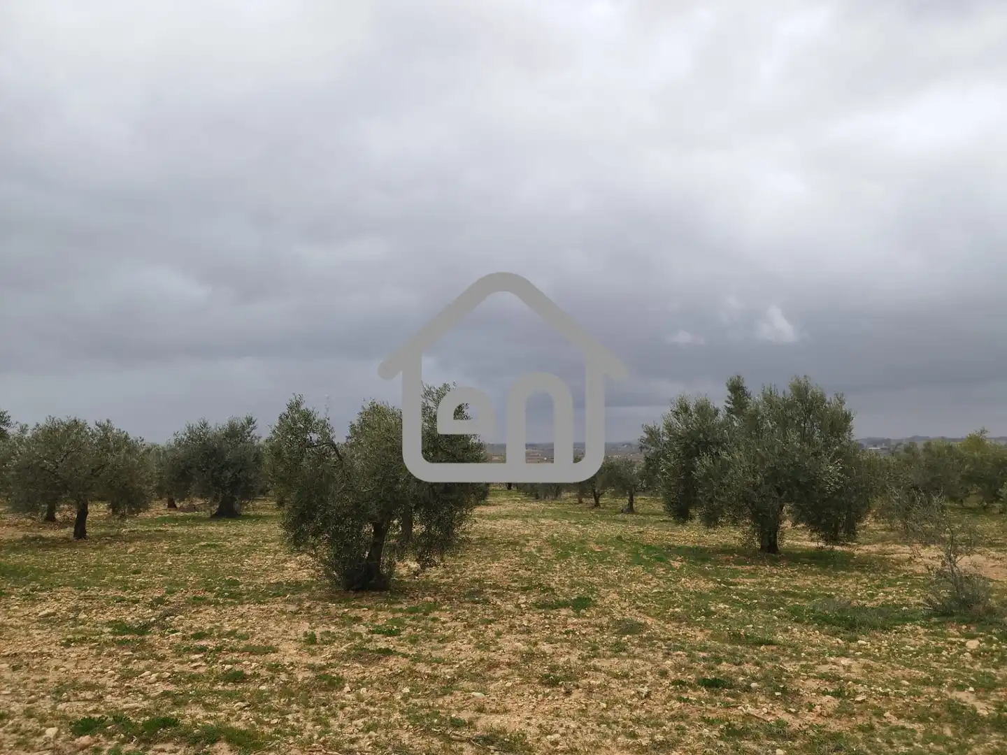 Rural land for sale in Requena, imagen 9