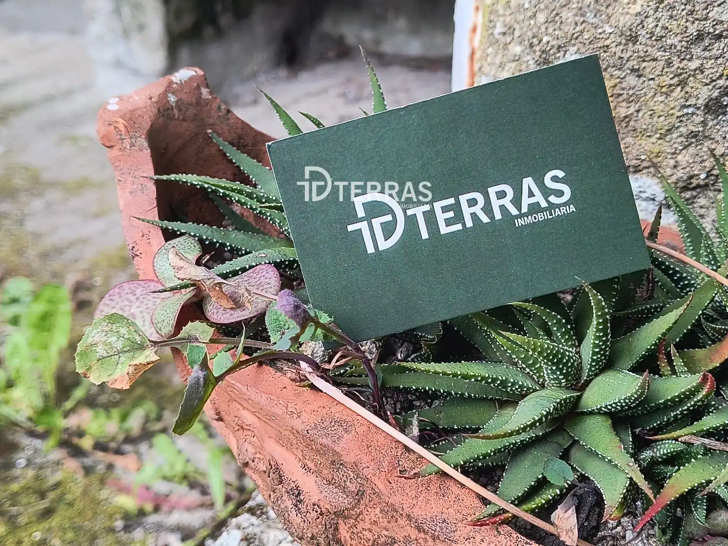 Terraza de Casa o chalet en venta en Ponte Caldelas con Jardín privado