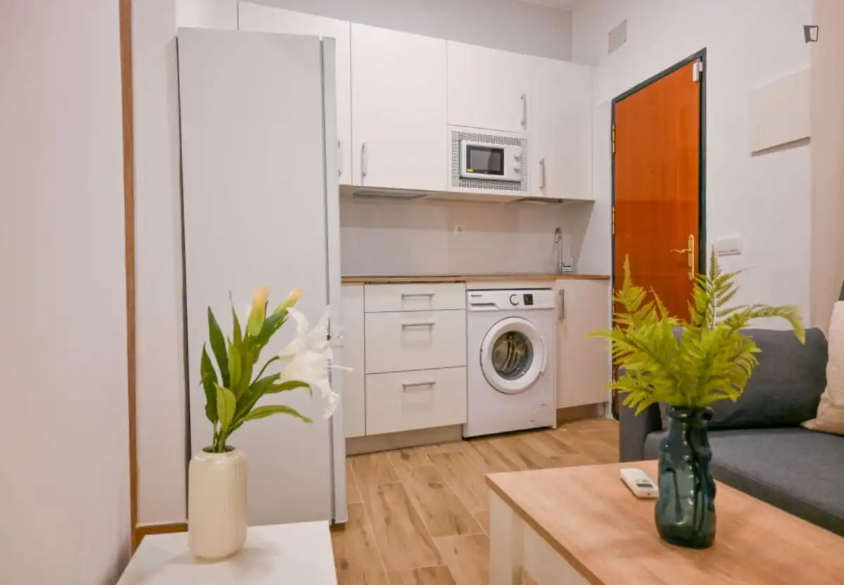 Cuina de Apartament de lloguer en Madrid amb Aire condicionat, Moblat i Rentadora