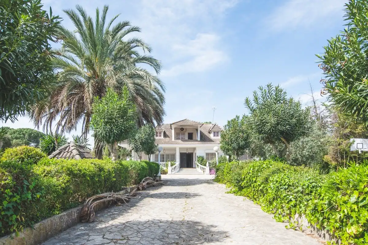 Exterior view of Houses for sale in Jerez de la Frontera  with Private garden, Swimming Pool and Balcony