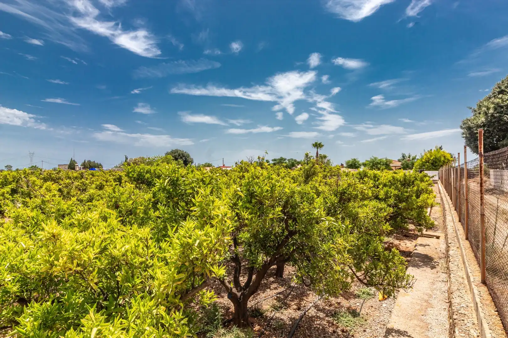 Rural land for sale in Polígono Polígono 4 Paraje 109 MADRIGAL 917, imagen 7