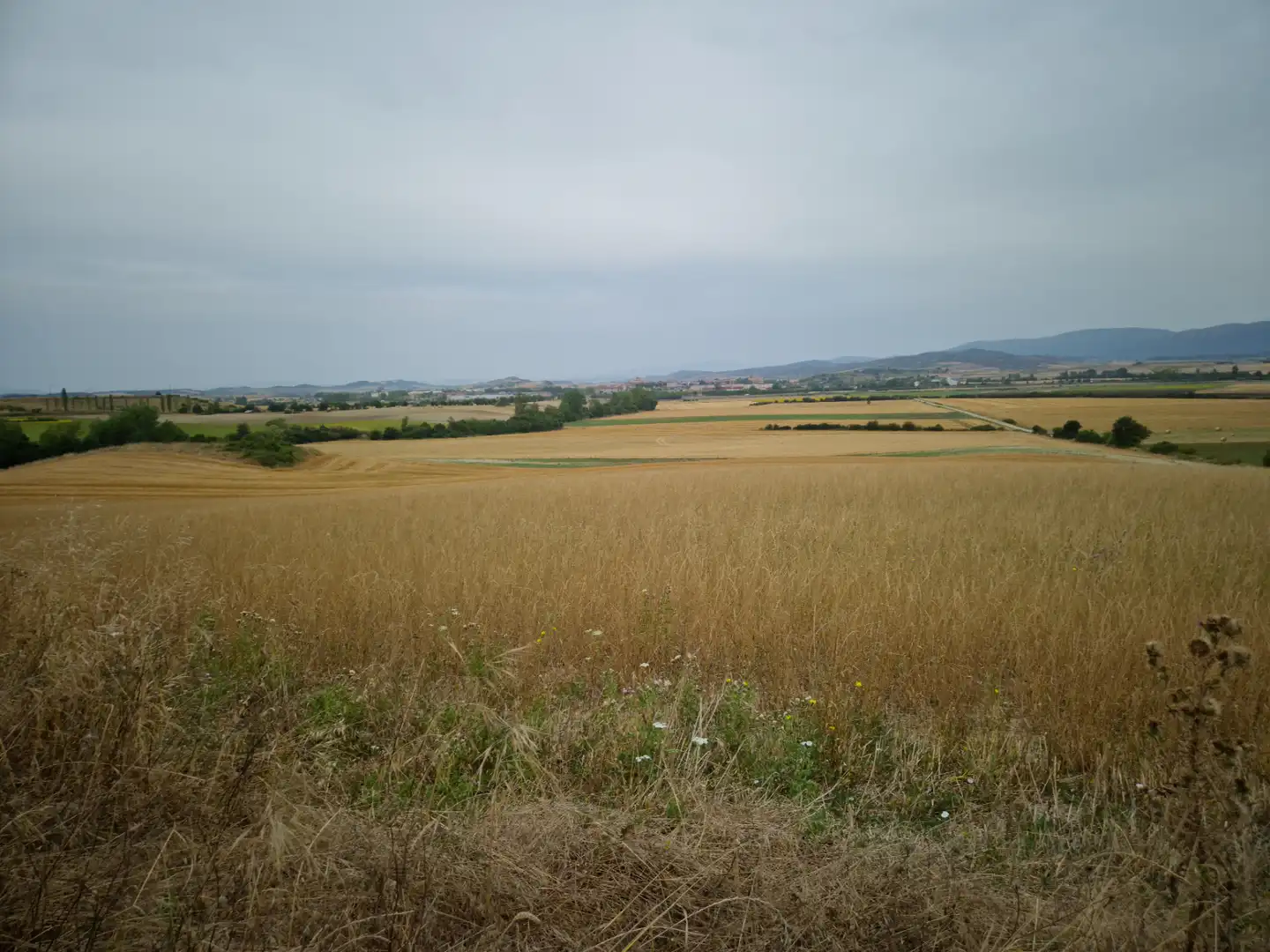 Terreny rústic en venda a San Millán / Donemiliaga