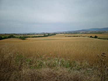 Terreno rustico in vendita a San Millán / Donemiliaga