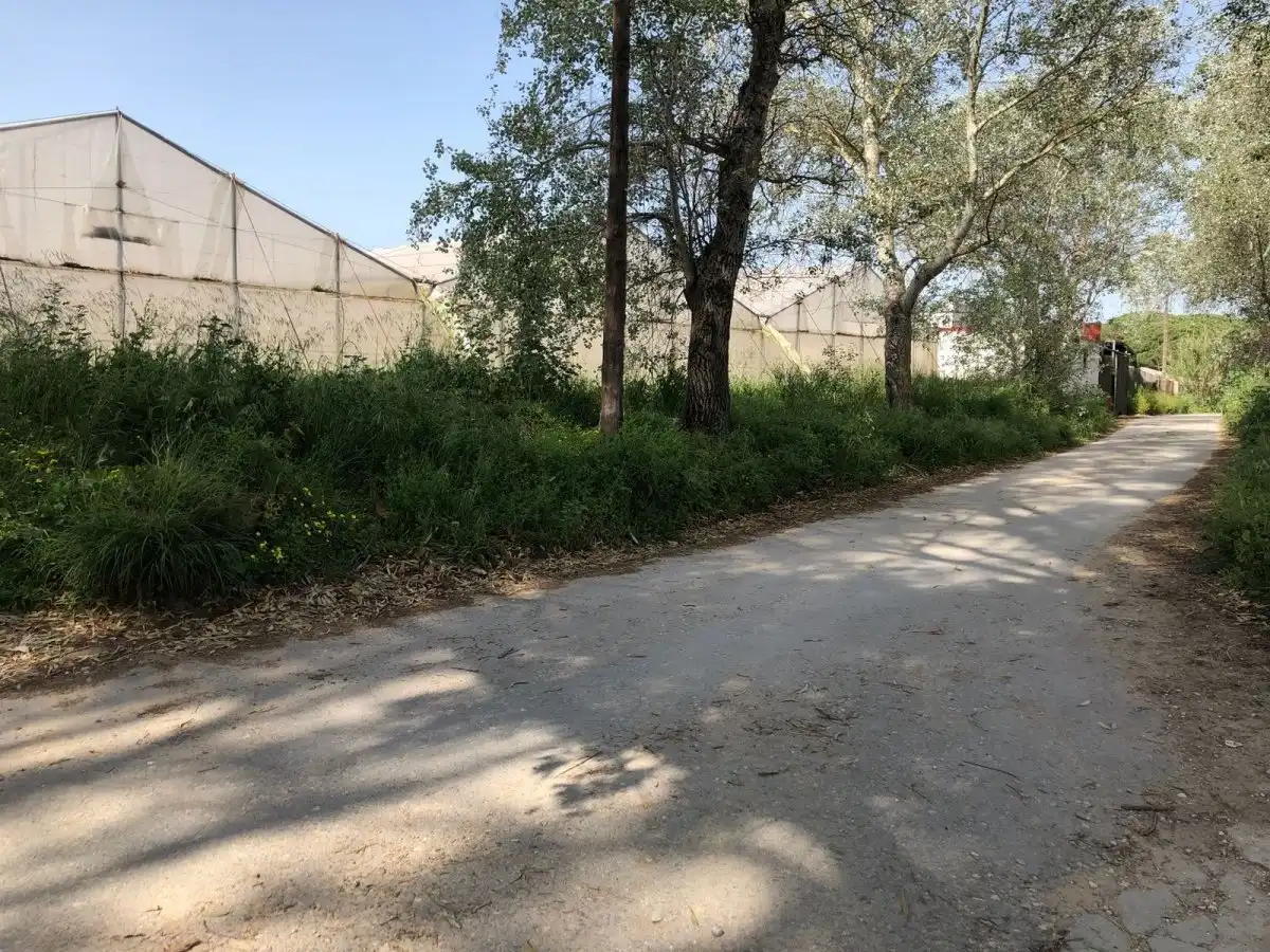Terreni e lotti in vendita a Barbate ciudad, imagen 37