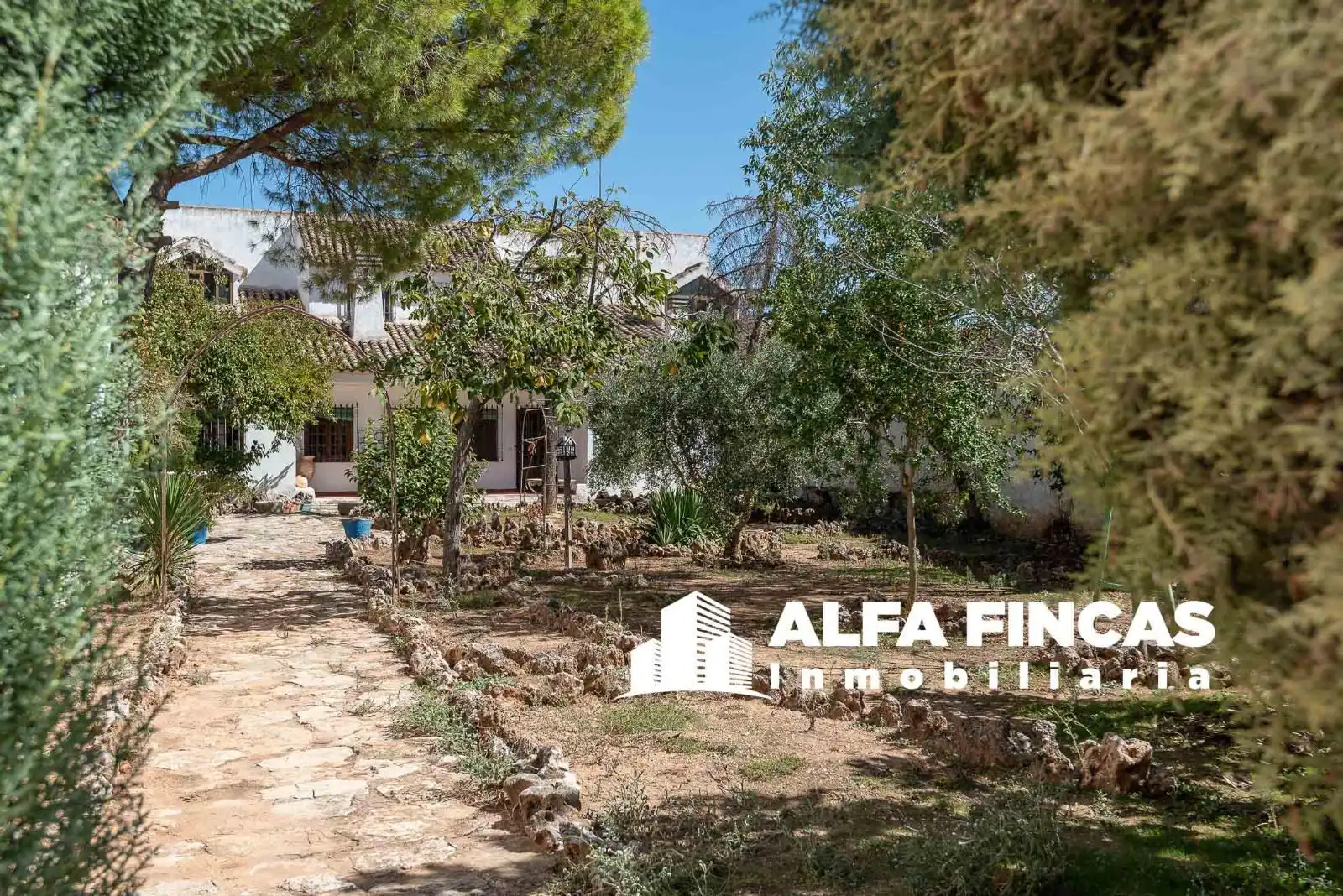 Casa o xalet en venda a CRUZ, 24, Los Hinojosos