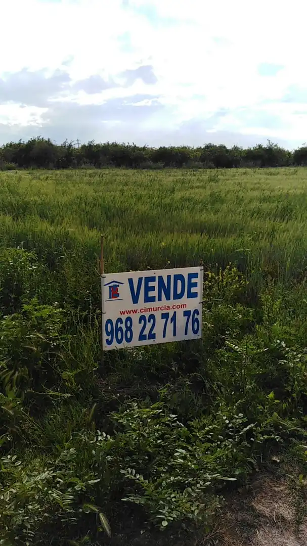 Terreny rústic en venda a Diseminado Vereda Palmeras 1