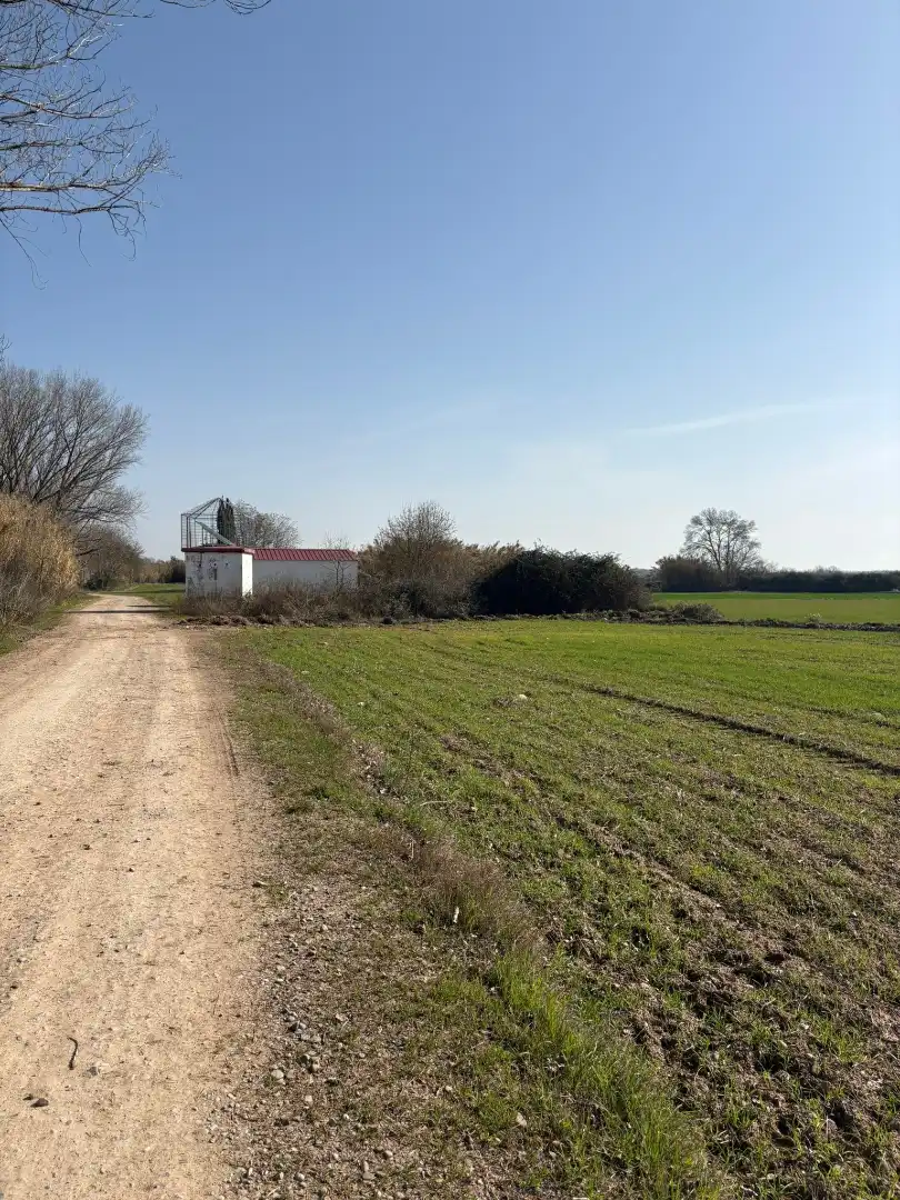Rustikales Grundstück zum Verkauf in Agoncillo, imagen 5