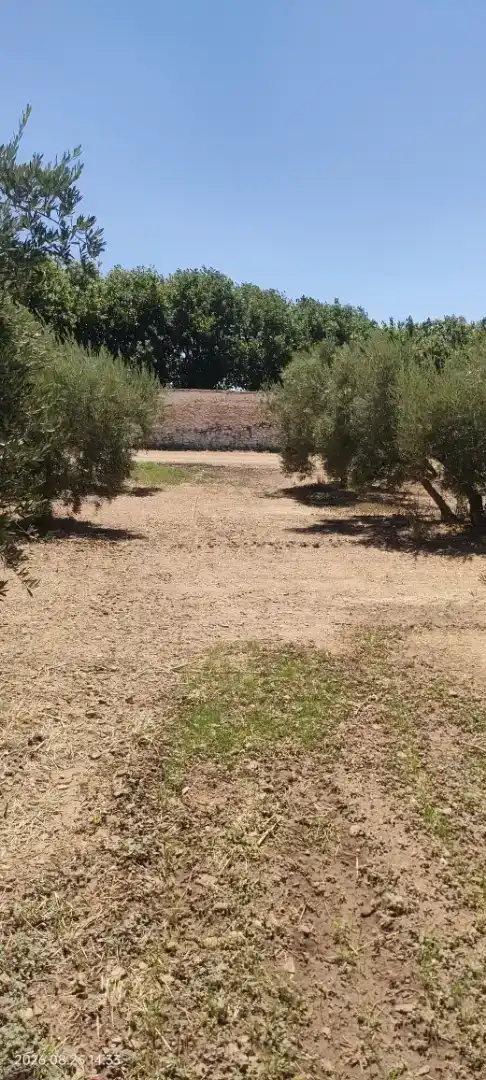 Finca rústica en venda en Santa Cruz de Mudela amb Jardí privat, Traster i Piscina