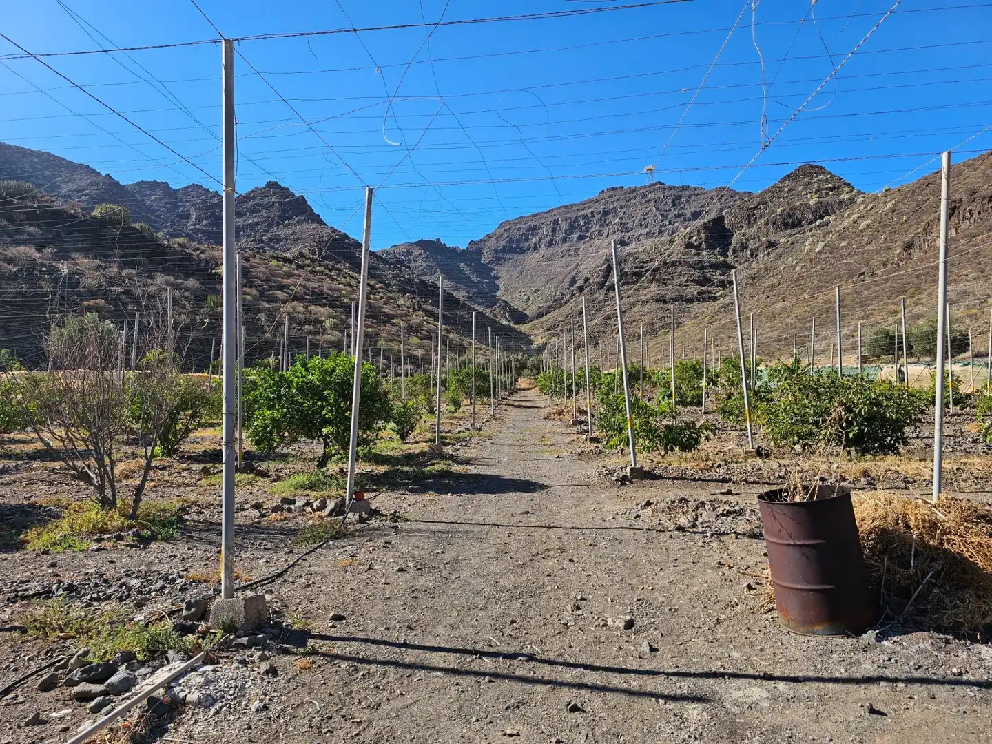 Vista exterior de Finca rústica en venta en La Aldea de San Nicolás  con Jardín privado, Terraza y Trastero