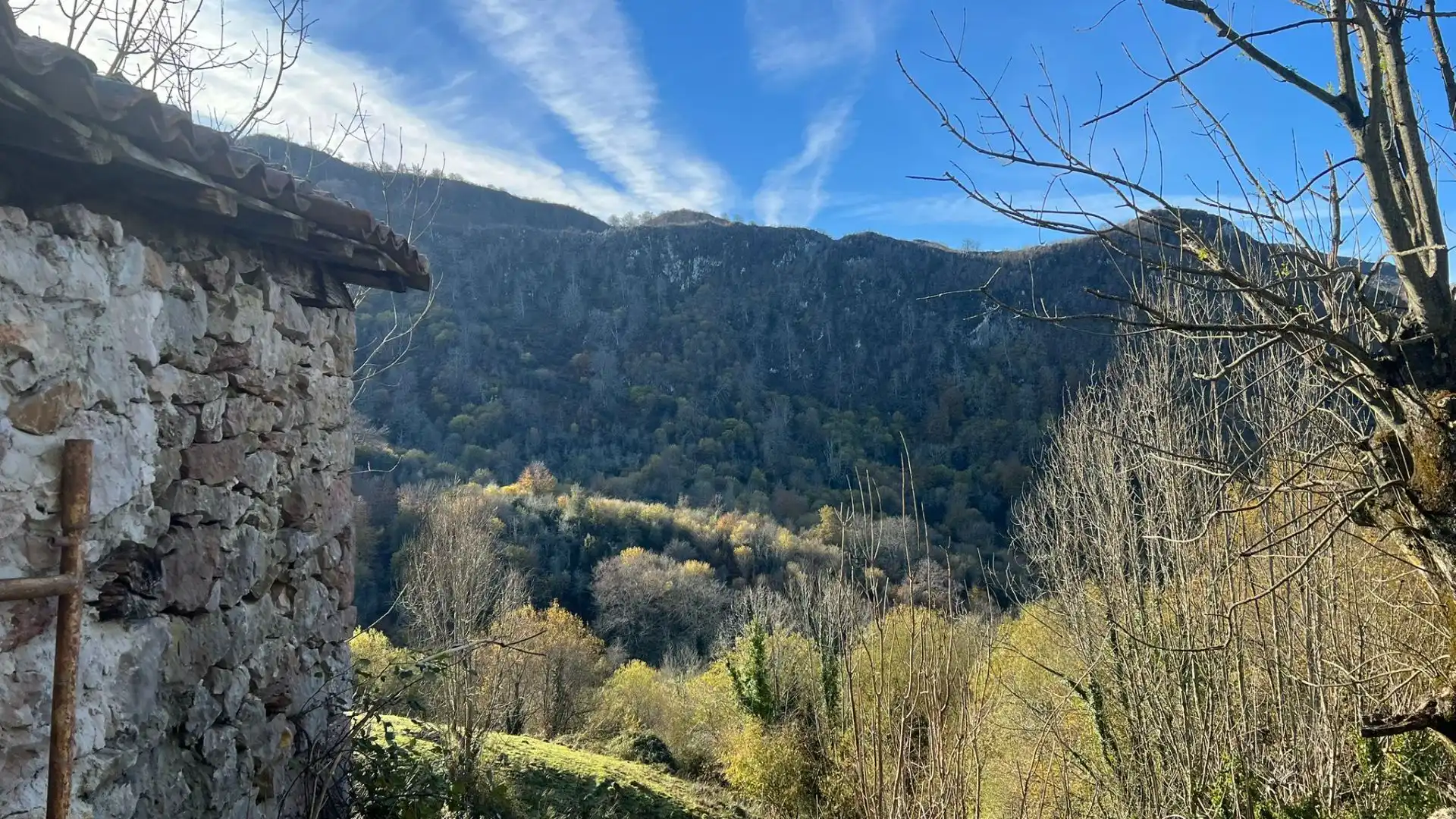 Terreno rustico in vendita a Cangas de Onís, imagen 20