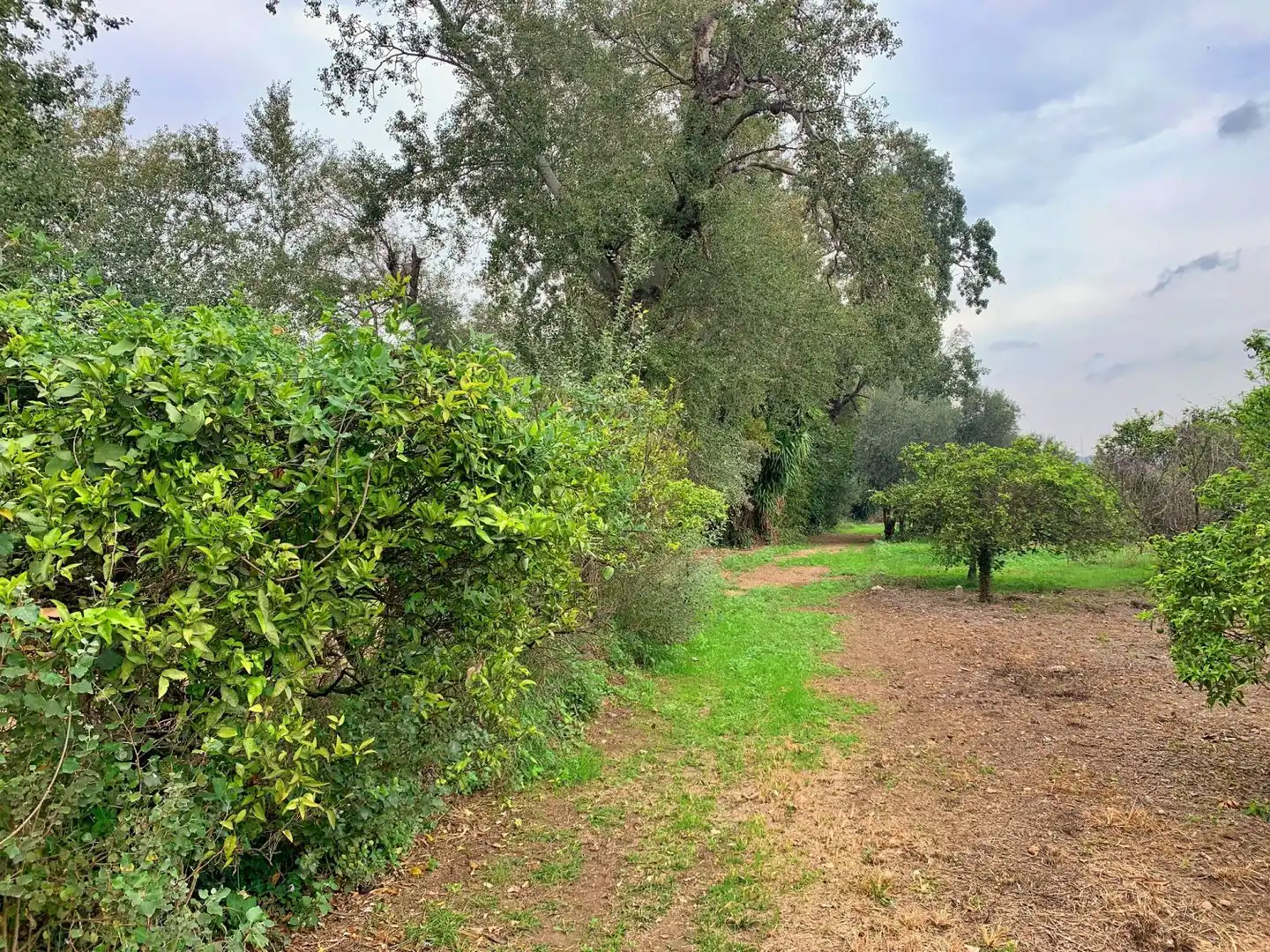 Finca rústica en venda en Tortosa