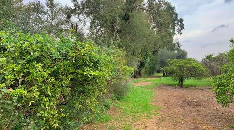 Photo 3 of Country house for sale in Bítem, Tarragona