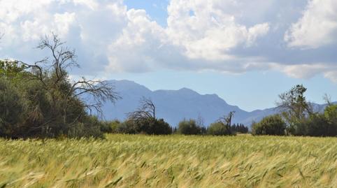 Photo 2 of Country house for sale in Llubí, Illes Balears