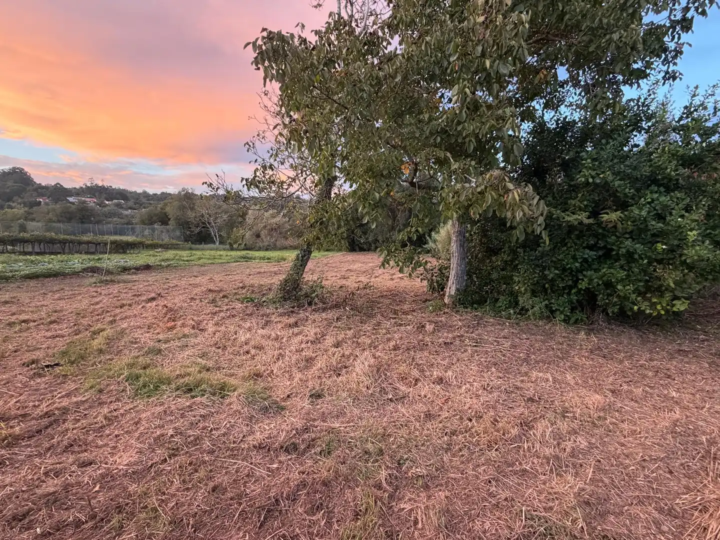 Maison rustique avec jardin à vendre à Campo das Bestas 5, imagen 32