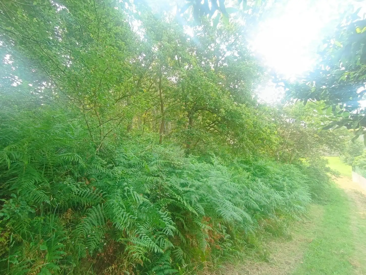 Rural land for sale in Camino SAN XURXO-SAIANS 20, imagen 13